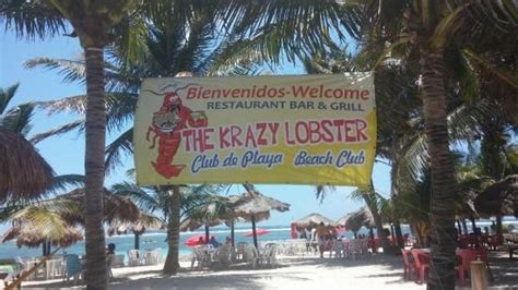 Krazy Lobster Beach, Costa Maya, MX | Western caribbean cruise, Western caribbean, Carnival cruise