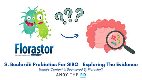 S. Boulardii Probiotics For SIBO - Do They Help? - Andy The RD