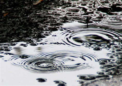 Rain Drops 2010-05 May Photo of the Day