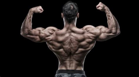 6 Exercises To Build a Huge Back