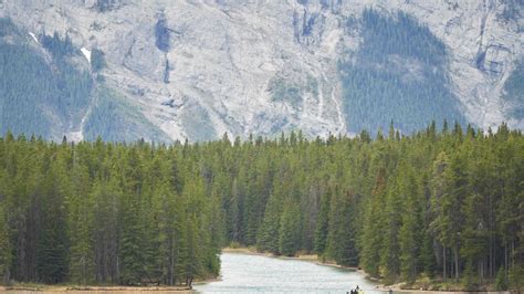 Banff National Park bear attack: 2 killed in suspected grizzly bear ...