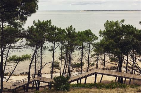 Restaurants Arcachon And Arcachon Hotels in Arcachon Bay | olivemagazine