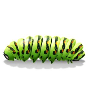 Caterpillar PNG - Free Transparent Images and Clipart