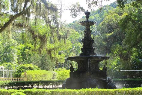 Botanical Garden - Ticket and Visit - Rio de Janeiro, Brazil | Gray Line