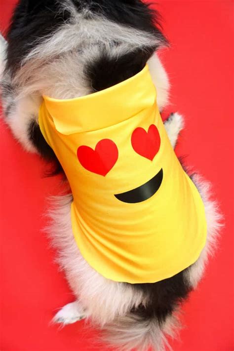 DIY Emoji Costume For Ladies & Their Fur Babies! ⋆ Brite and Bubbly