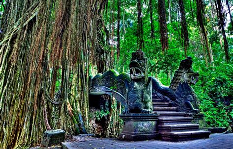 Ubud Monkey Forest, Nature Reserves To 340 Monkeys - Traveldigg.com