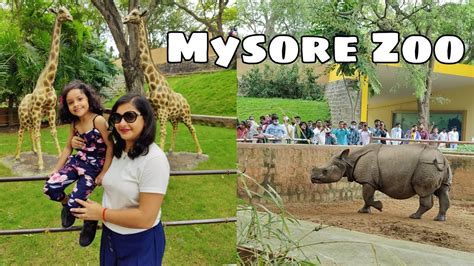 Mysore Zoo Full Video | Timings, Ticket Price, Holidays etc|Chamarajendra Zoological Gardens ...