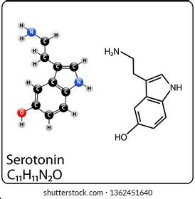 Serotonin Molecule Structure Stock Vector (Royalty Free) 1362451640 | Shutterstock