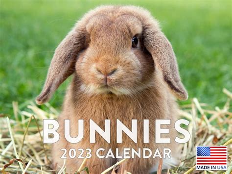 Bunny Calendar 2024 Printable - 2024 CALENDAR PRINTABLE