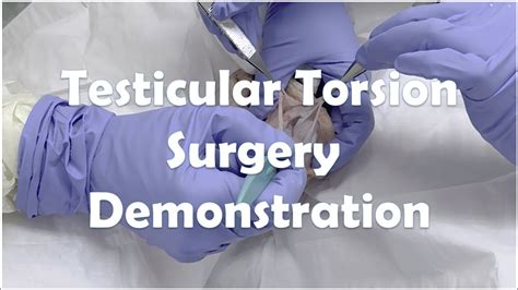 Testicular Torsion Surgery on a Cadaver Model - YouTube