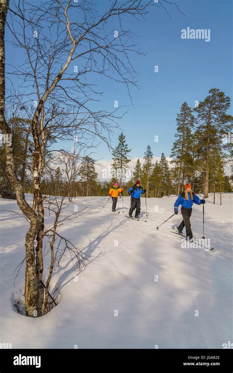 Cross Country Skiing, Lapland, Finland Stock Photo - Alamy