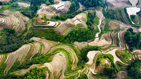 Live: Explore the splendid Longji Rice Terraces in China's Guilin - CGTN