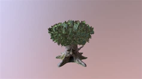 Great Deku Tree | Hyrule Warriors - Download Free 3D model by Lumhax ...