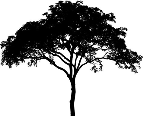 Savannah Tree Silhouette - Openclipart