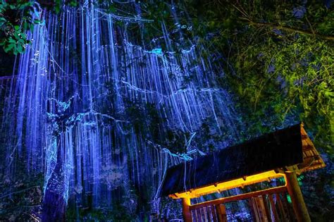 The Ultimate Guide to Avatar Penang Secret Garden - Penang Insider