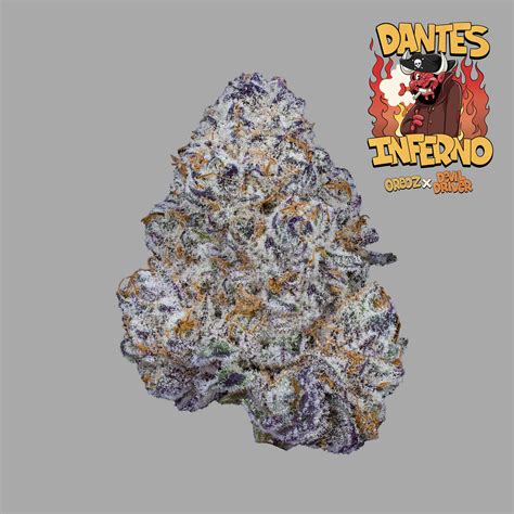 Animal Gas Cannabis Strain | Freddy's Fuego