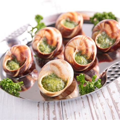 Escargot stock image. Image of dinner, cooked, food, christmas - 46368719