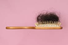 Bad Hair Day Free Stock Photo - Public Domain Pictures