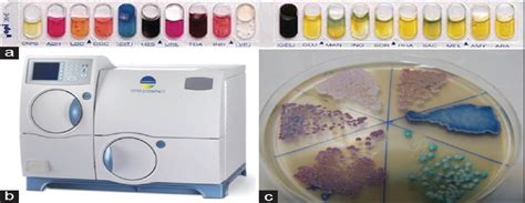 A Comprehensive Review of Identification Methods for Pathoge ...