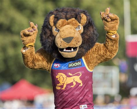 Roy (Brisbane Lions) | SportsMascots Wikia | Fandom