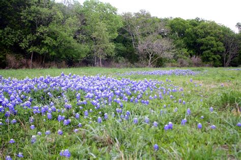 Indian Grass Prairie Preserve and Sunset Valley Nature Area | Free Fun ...