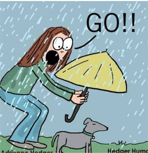 a woman holding an umbrella in the rain with her dog looking at it and saying go