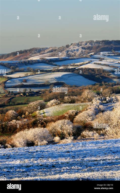 Beaminster dorset winter hi-res stock photography and images - Alamy