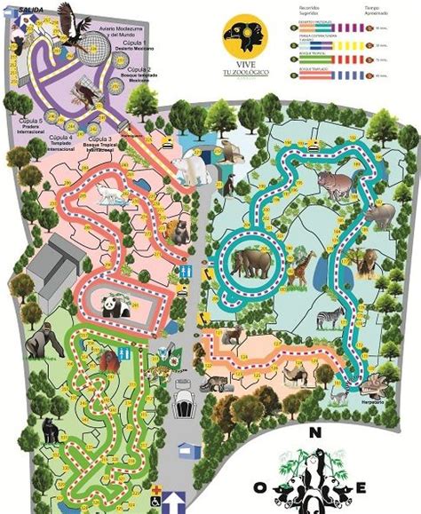 Chapultepec Zoo | Kids play area, Zoo, Art reference