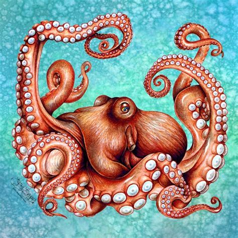 Kraken Octopus Art Canvas Print. Original 12 X 12 Sea Creature | Etsy