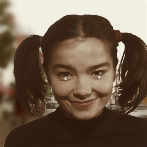 bjork debut fanmade album cover version 2 : bjork