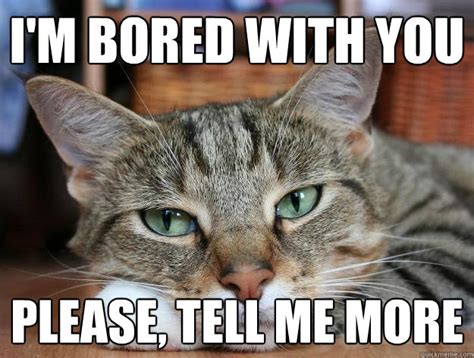 Bored cat memes | quickmeme