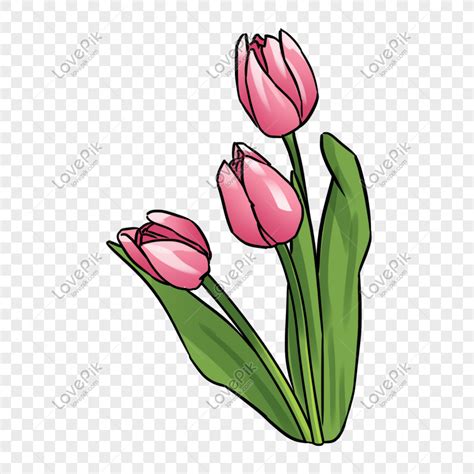 Clipart Bunga Tulip