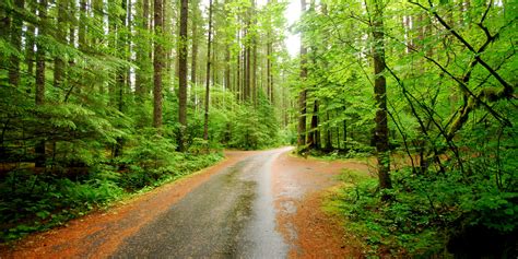 Lower Falls Campground - Lewis River Falls, Gifford Pinchot National ...