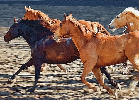 Wild Horses Running Painting by Clarence Alford - Fine Art America