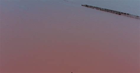 An Aerial Photography of People Standing on Pink Lake · Free Stock Photo