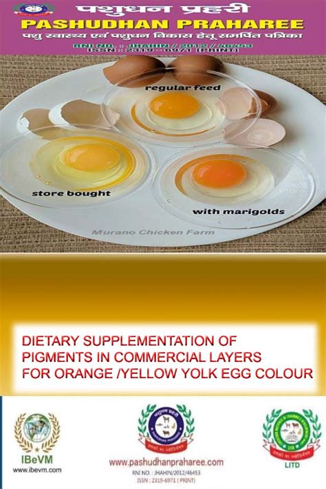 DIETARY SUPPLEMENTATION OF PIGMENTS IN COMMERCIAL LAYERS FOR ORANGE /YELLOW YOLK EGG COLOUR ...