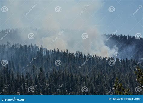 Forest Fire in Yosemite National Park Stock Photo - Image of smoke, forest: 180568392