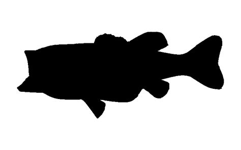 Free Bass Outline Cliparts, Download Free Bass Outline Cliparts png images, Free ClipArts on ...