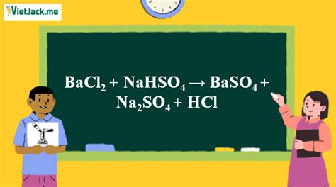 BaCl2 + NaHSO4 → BaSO4 + Na2SO4 + HCl – VietJack.com - Kengencyclopedia.org