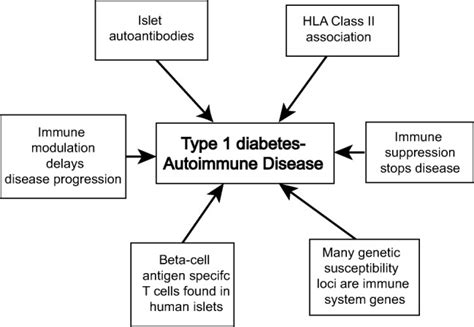 The case for an autoimmune aetiology of type 1 diabetes - Mannering ...