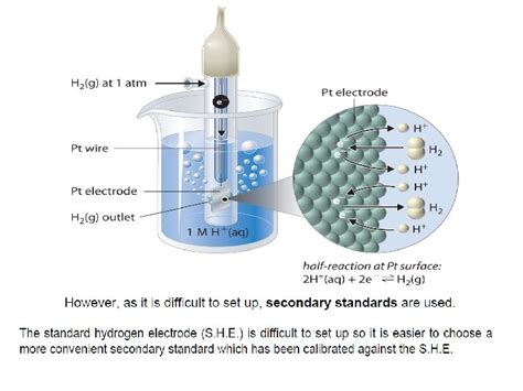 ION SELECTIVE ELECTRODES In Brief OUTLINES Introduction Reference