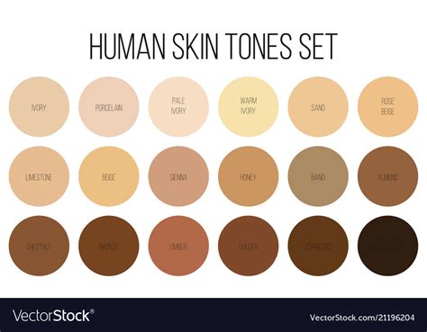 Color Palette for Dark Skin Vector ... | Skin palette, Colors for skin tone, Ivory skin