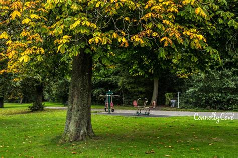 Ormeau Park Belfast - An Excellent Park Opened in 1871 - ConnollyCove