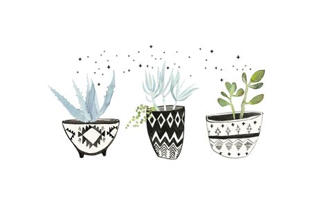 Desktop Plants Wallpapers - Wallpaper Cave