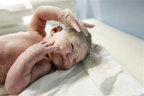 Vernix Covered Newborn After Delivery Stock Image - Image: 53074419