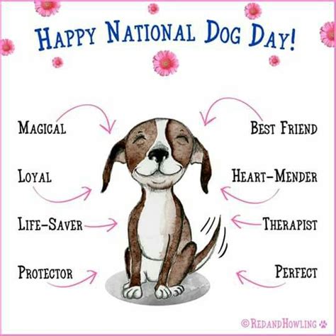 Pin by Deanna on Animal Lover Quotes | Happy national dog day, Dog quotes, Dogs