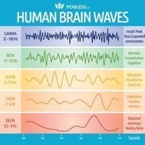 Brainwaves and what kind of "role" do they have in our lives