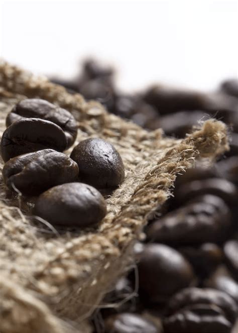 Organic Coffee Beans – What’s the Difference?