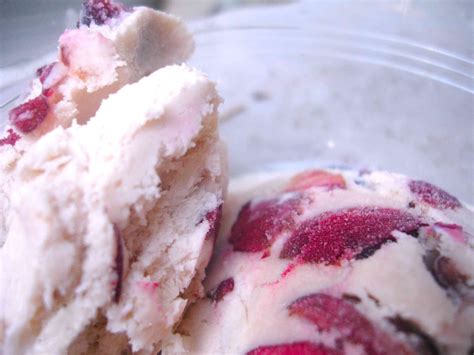 Homemade Cherry Vanilla Ice Cream Recipe