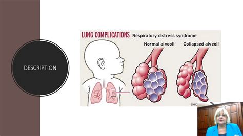 function pulmonary surfactant - YouTube